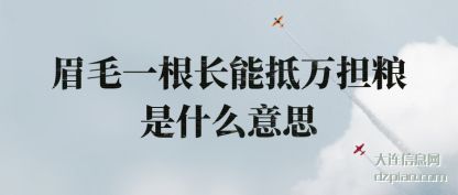 关于眉毛一根长能抵万担粮是什么意思