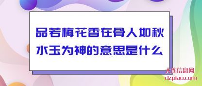 体会品若梅花香在骨人如秋水玉为神的意思是什么