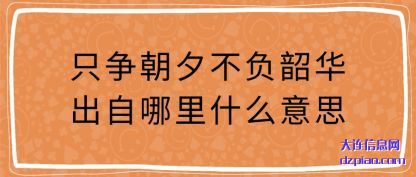 只争朝夕不负韶华出自哪里什么意思