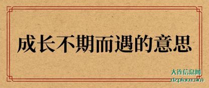 剖析成长不期而遇的意思