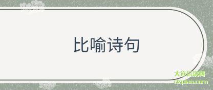 概括比喻诗句
