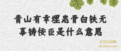 聊聊青山有幸埋忠骨白铁无辜铸佞臣是什么意思