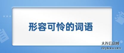 议论形容可怜的词语
