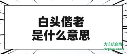 诠释白头偕老是什么意思