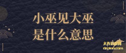 诠释小巫见大巫是什么意思