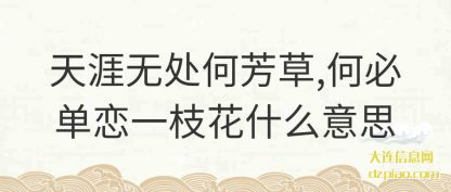 理解天涯无处何芳草,何必单恋一枝花什么意思
