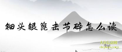 钿头银篦击节碎怎么读