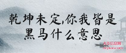 乾坤未定,你我皆是黑马什么意思