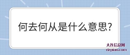说明何去何从是什么意思?
