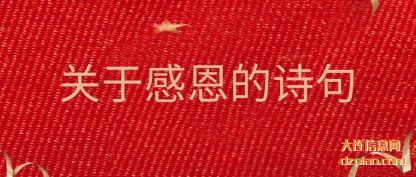 体会关于感恩的诗句