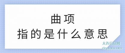 关于曲项指的是什么意思