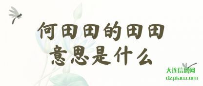 讲解何田田的田田意思是什么