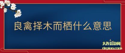 知晓良禽择木而栖什么意思
