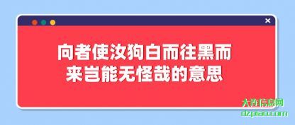 剖析向者使汝狗白而往黑而来岂能无怪哉的意思
