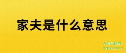 讨论家夫是什么意思