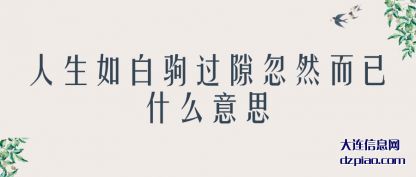 说明人生如白驹过隙忽然而已什么意思