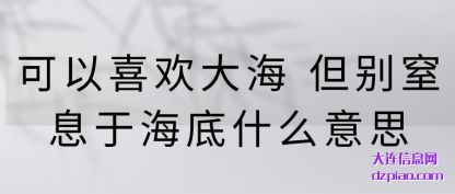 分析可以喜欢大海 但别窒息于海底什么意思