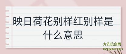 分析映日荷花别样红别样是什么意思