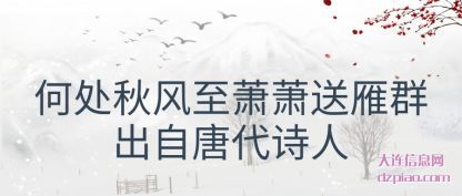 介绍何处秋风至萧萧送雁群出自唐代诗人