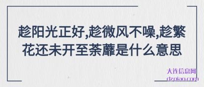 了解趁阳光正好,趁微风不噪,趁繁花还未开至荼蘼是什么意思