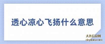 透心凉心飞扬什么意思