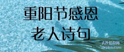 注解重阳节感恩老人诗句