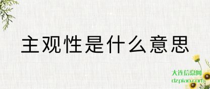 主观性是什么意思