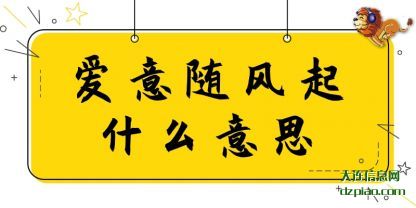 了解爱意随风起什么意思