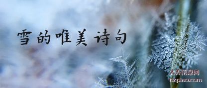 评释雪的唯美诗句