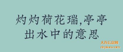 总结灼灼荷花瑞,亭亭出水中的意思