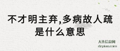 剖析不才明主弃,多病故人疏是什么意思