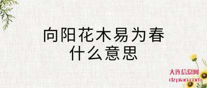 剖析向阳花木易为春什么意思