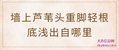理会墙上芦苇头重脚轻根底浅出自哪里