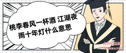 桃李春风一杯酒 江湖夜雨十年灯什么意思