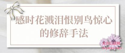 评释感时花溅泪恨别鸟惊心的修辞手法