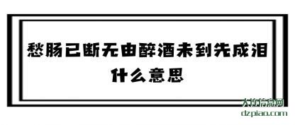 浅析愁肠已断无由醉酒未到先成泪什么意思