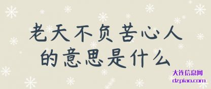 诠释老天不负苦心人的意思是什么
