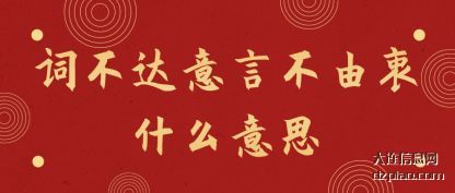 认识词不达意言不由衷什么意思