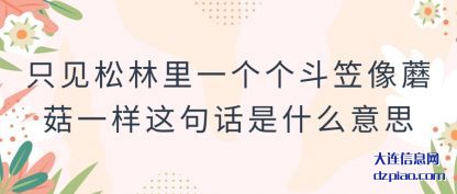 谈论只见松林里一个个斗笠像蘑菇一样这句话是什么意思