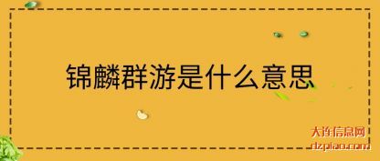 体会锦麟群游是什么意思
