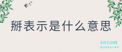 解答掰表示是什么意思