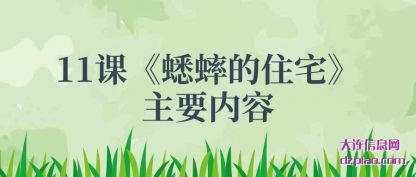 介绍11课《蟋蟀的住宅》主要内容
