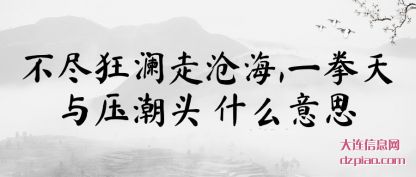 不尽狂澜走沧海,一拳天与压潮头 什么意思