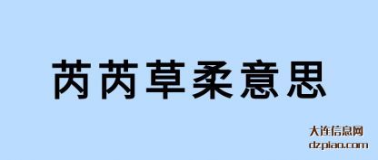 总结芮芮草柔意思