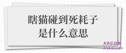 谈谈瞎猫碰到死耗子是什么意思