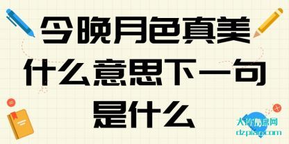 分享今晚月色真美什么意思下一句是什么
