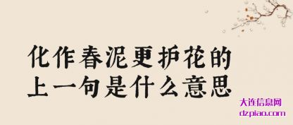 讨论化作春泥更护花的上一句是什么意思
