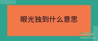 眼光独到什么意思