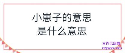 小崽子的意思是什么意思