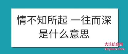 体会情不知所起 一往而深是什么意思